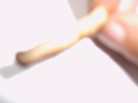 mhsc H�ffner M�bel Steak Service